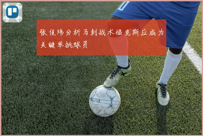 张佳玮分析马刺战术福克斯应成为关键单挑球员