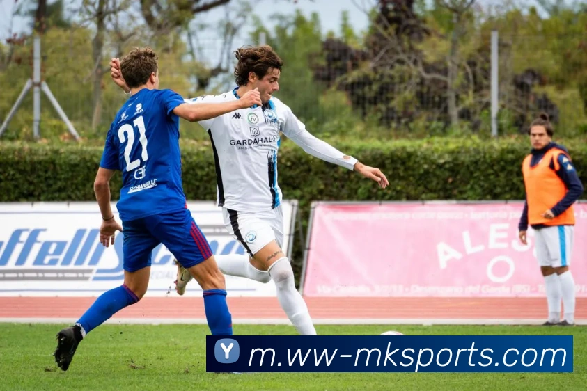 MK体育平台生态图